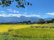 発酵クオリアの写真2