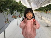 うれしおのわの写真2