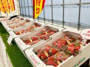 越谷いちごみらい園の写真4