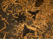 Axe Shisha Cafe A×Sの写真4
