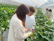 MoonLightFarmの写真3