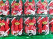 老蘇いちご園の写真4