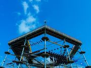 シー・ドラグーンの写真2