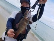 DSF石垣島の写真4
