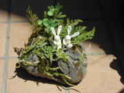 アート&クラフトDUO広島袋町店の写真2