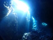 DIVE GIFTの写真3