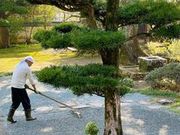 上関山 極楽寺の写真4