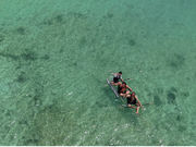 Like Daddyの写真2