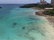 Like Daddyの写真3