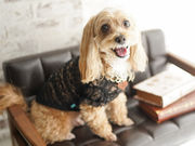 ペットと家族の写真館 STUDIO SIOの写真2