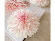 petite-ange-luluの写真2