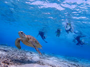 いよんちの写真2