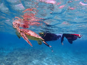 いよんちの写真4