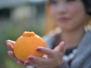 黒川農園の写真2