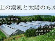 黒川農園の写真3