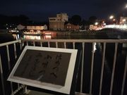 八戸屋形船 新井田丸の写真3
