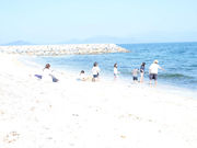 象と太陽社の写真4