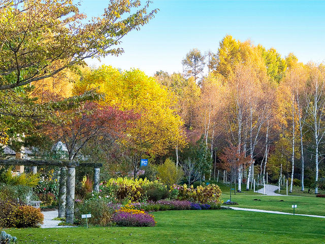 蓼科高原 バラクラ イングリッシュ ガーデンの写真1