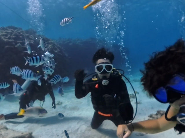 ライセンス講習も毎日開催中
最短で取れるから超オススメです!_真心ダイバーズ