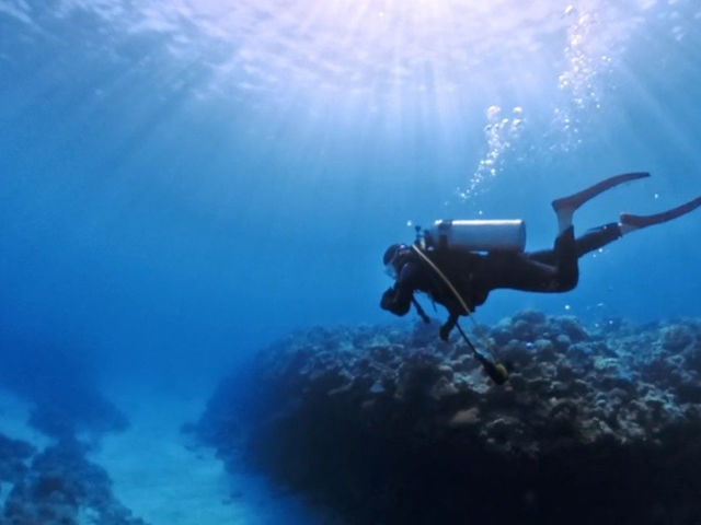 雰囲気のいいお写真も撮れますよ!_真心ダイバーズ