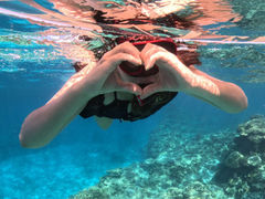 真心ダイバーズの写真1