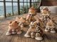 Shisa Guardian Workshopの写真3