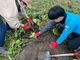 anokonofarmの写真4