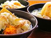 吉田うどん 麺ズ 冨士山の写真1