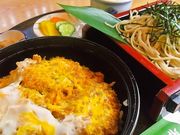 山口家一樹の写真1