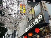 ホルモン焼肉ともやの写真1