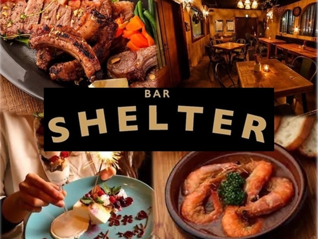シェルター SHELTERの写真1