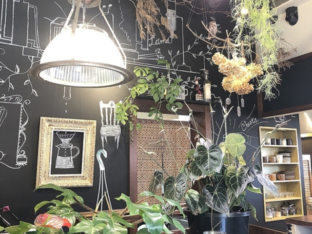 cafe Lama カフェ ラマの写真1