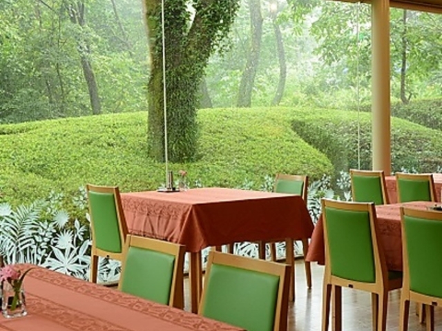 アイアイランドの写真1