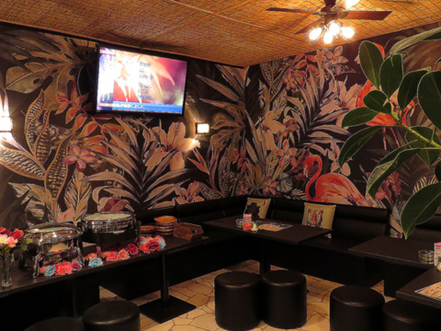 A.O.C. エーオーシーの写真1