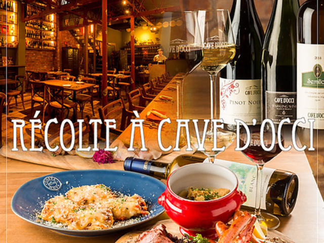 レコルタ カーブドッチの写真1