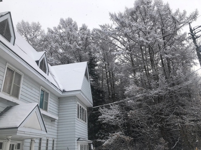 フォーレス かわしまの写真1