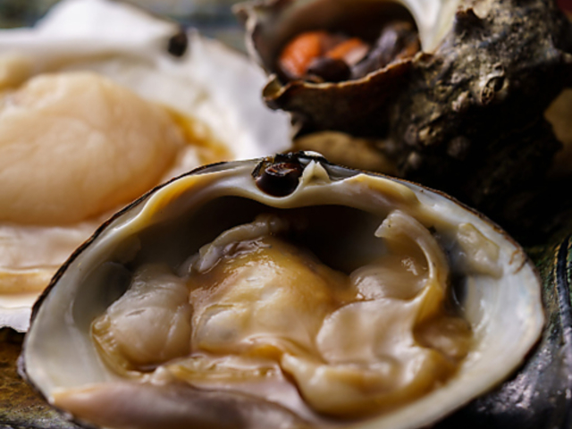 浜焼き処 一の写真1