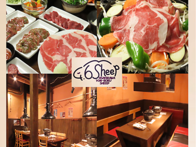 4 6Sheep ヨンロクシープの写真1