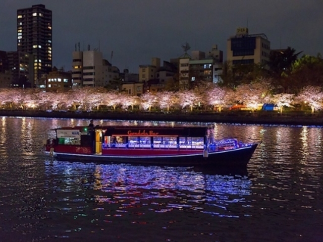 ゴンドラバルの写真1