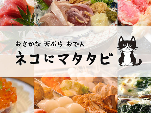 ネコにマタタビ名駅店の写真1