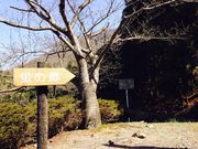 中山ほたるの里の写真2