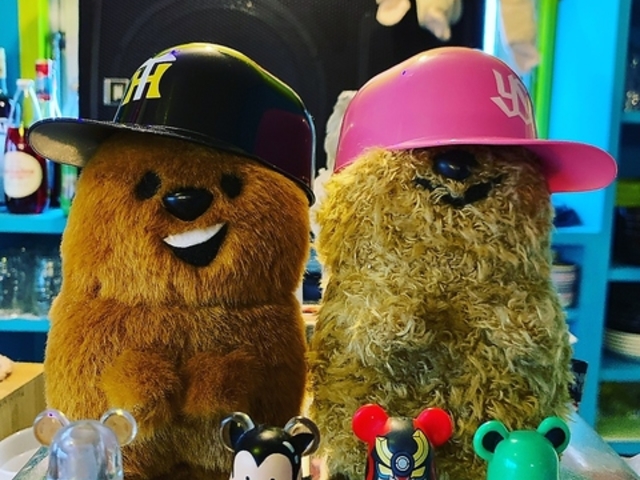 優勝酒場ノーユーノーミーの写真1