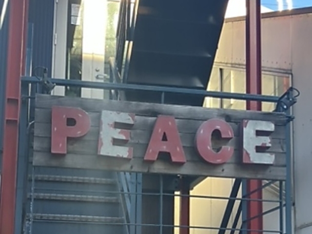 PEACE ピースの写真1