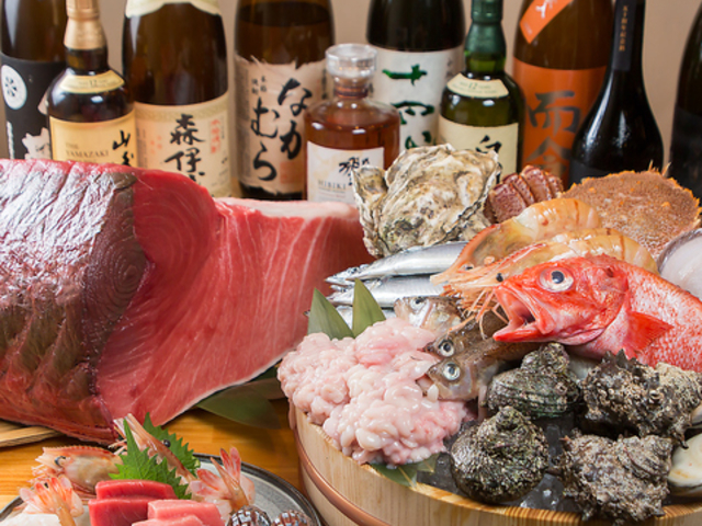 魚楽唐唐の写真1