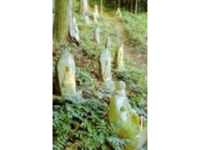 七日山の石仏郡の写真1