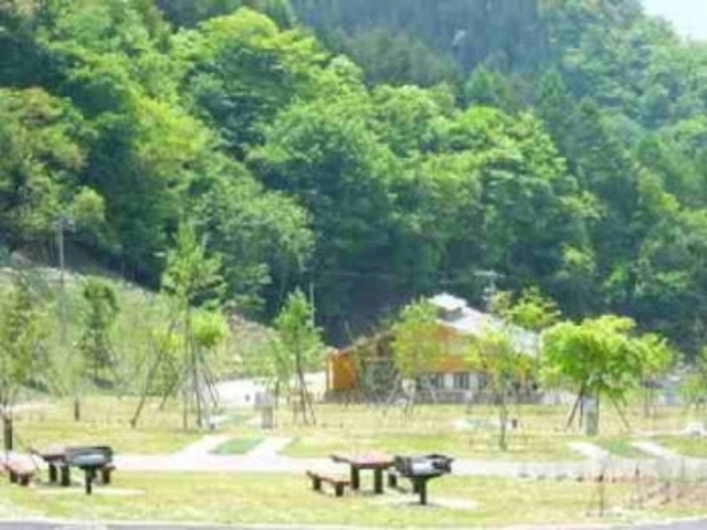 大島川原河川公園オートキャンプ場の写真1