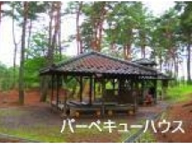 芸術むら公園キャンプ場の写真1
