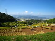 稲倉の棚田の写真2