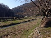 福地ホタルの里の写真3