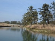 貞山運河の写真1